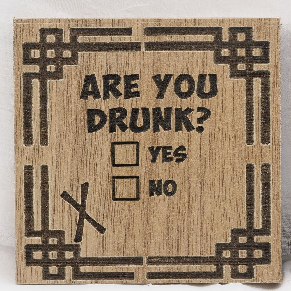 Coaster - Are You Drunk?